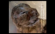 W Jakucji odkryto najlepiej zachowane lwiątka jaskiniowe