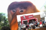 300 kubełków po 1 zł! Ludzie szturmem obalili baner na otwarciu KFC pod Warszawą